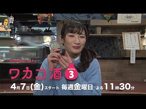 ワカコ酒 Season3 Bsジャパン Youtube
