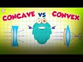 Lenses Illuminated: The Science of Convex and Concave Light Bending