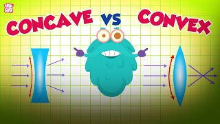 Why Does Light Bend? | Concave & Convex Lenses | The Dr Binocs Show | Peekaboo Kidz screenshot 3