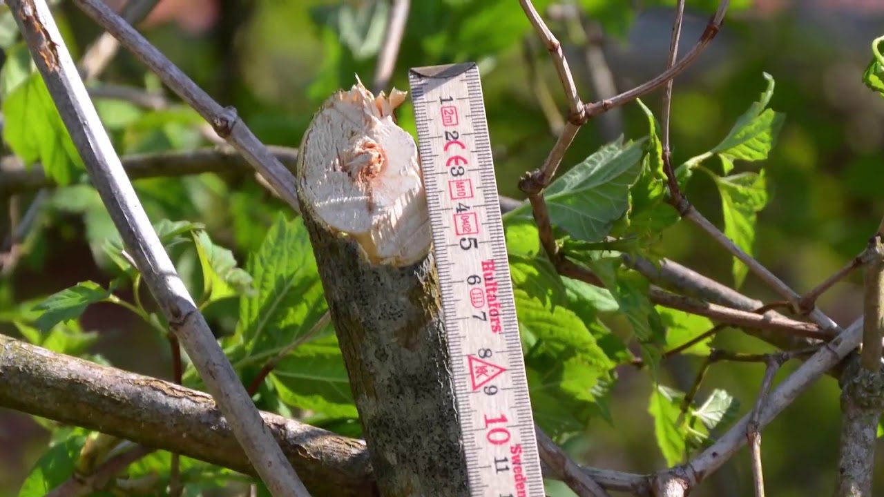 GreenTec RC 132 &  RC162 Bio Hekklipper