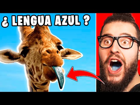 REACCIONANDO A Cosas