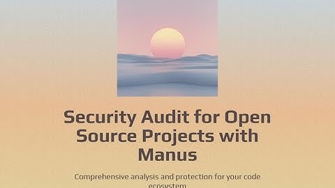 Security Audit for Open Source Projects with Manus