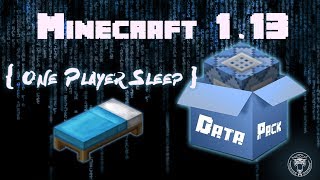 One Player Sleep Data Pack for Minecraft 1.13 ( Weather control  Easy install)