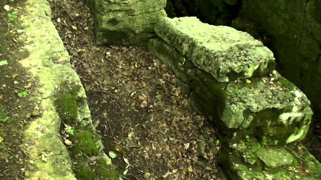Niagara Escarpment, High Cliff State Park