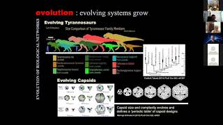 Untangling the evolution of biological systems, by Gustavo Caetano-Anollés. 5th NoRCEL conference.