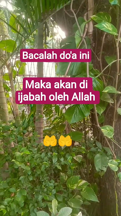 Bacalah doa ini maka akan Allah ijabah #quotes#katahatimotivasi#katakatabijakalibinabuthalib