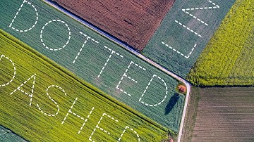 Moving Dotted & Dashed Lines - Apple Motion 5 Tutorial