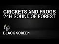 Crickets and Frogs | Sound of FOREST | 24h NATURE SOUND | BLACK SCREEN - Night nature sounds