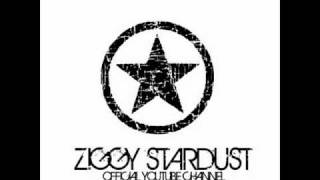 Duck Sauce - Barbara Streisand (Ziggy's groovy remix)