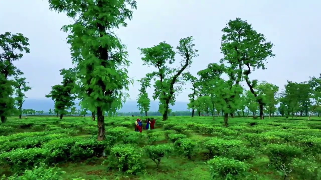 Cinematic Flow 🎬 – Smooth Video Backgrounds © Copyright-Free ✅