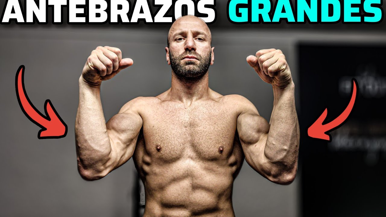 6 MEJORES EJERCICIOS para tus ANTEBRAZOS 💪 