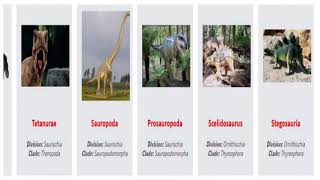 Comparison: Dinosaur Cladogram with images | visual dinosaurs train