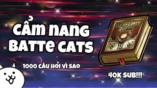 Mọi thứ bạn cần biết về Battle Cats! 1000 câu hỏi vì sao? Video kỉ niệm 40K Subscriber!! ~ screenshot 5