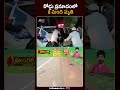 సంగారెడ్డి జిల్లాలో ఘోర రోడ్డు ప్రమాదాలు..Sangareddy District | Tv5 News
