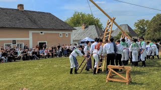 Strážnice Skanzen - stavění máje a otevření mlýna z Podhajských Mlýnů 28.4.2024