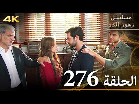الحلقة 276 مسلسل زهور الدم مدبلج بالعربية Kan Çiçekleri جودة 4K