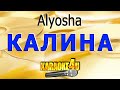 Alyosha Калина Кавер минус