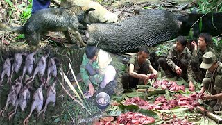 Hunting Wild Boar and Quail In The Mountains | Yos havzoov tua npua teb tua yij 