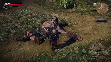 The Witcher 3  Wild Hunt Cyclops Kill Pose