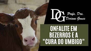 Como tratar a Onfalite?
