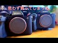 【SONY α７Ⅳ 】カメラ初心者　買ってみた！