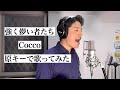 Cocco「強く儚い者たち」<原曲キーで歌ってみた>