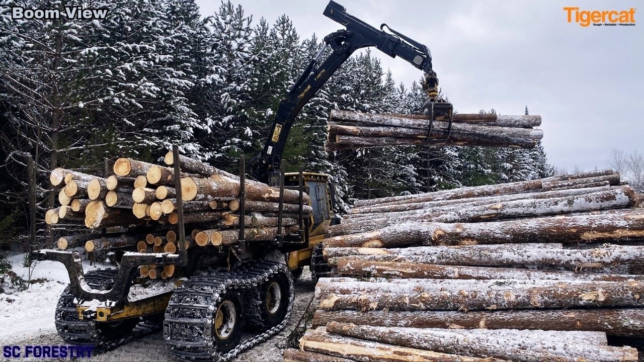 Tigercat 1075B Forwarding Cedar and Spruce in the Snow
