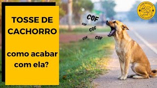 TOSSE DE CACHORRO: Saiba como ACABAR COM ELA!  [TOSSE DOS CANIS]