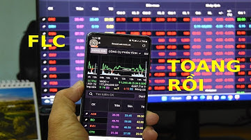 HỦY NIÊM YẾT, NGƯỜI NẮM CỔ PHIẾU FLC RA SAO?