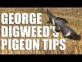 Fieldsports Britain - George Digweed's pigeon-shooting tips