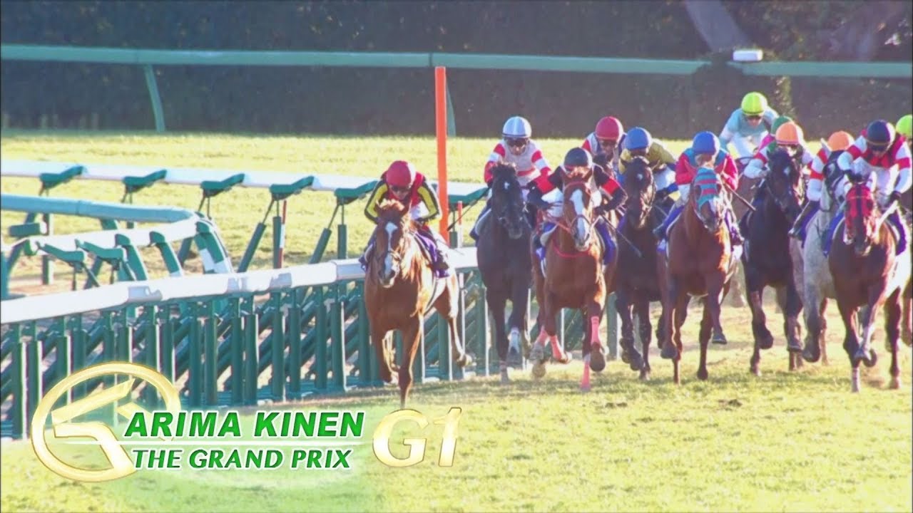 Horse Racing In Japan