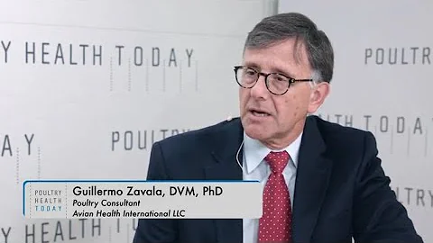 Breeder Vaccination Critical to Prevent Reovirus i...