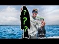 Catching GIANT FISH in ULTRA CLEAR Water! (NEW PB)