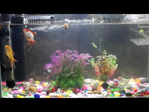 4 ოქტომბერი, 2019