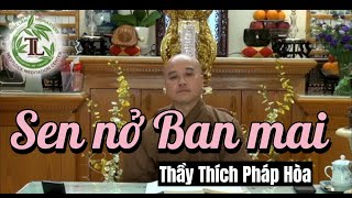 Sen nở Ban mai - Pháp thoại  và Vấn đáp Phật pháp - Thầy Pháp Hòa (Phần kết)