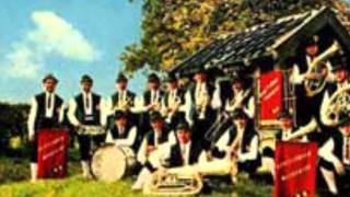 Miniatura de vídeo de "riestelander muzikanten margraten festwies polka"