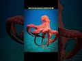 Why aliens are look alike octopus 😨 #factshorts #facts #viralshort #aliens #octopus