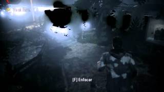 AlanWake Black Lights HD3000 Bug/FIXED!