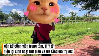 ngày 10 tháng 10, 2025