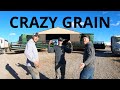 Crazy Grain (Crazy Train Parody)