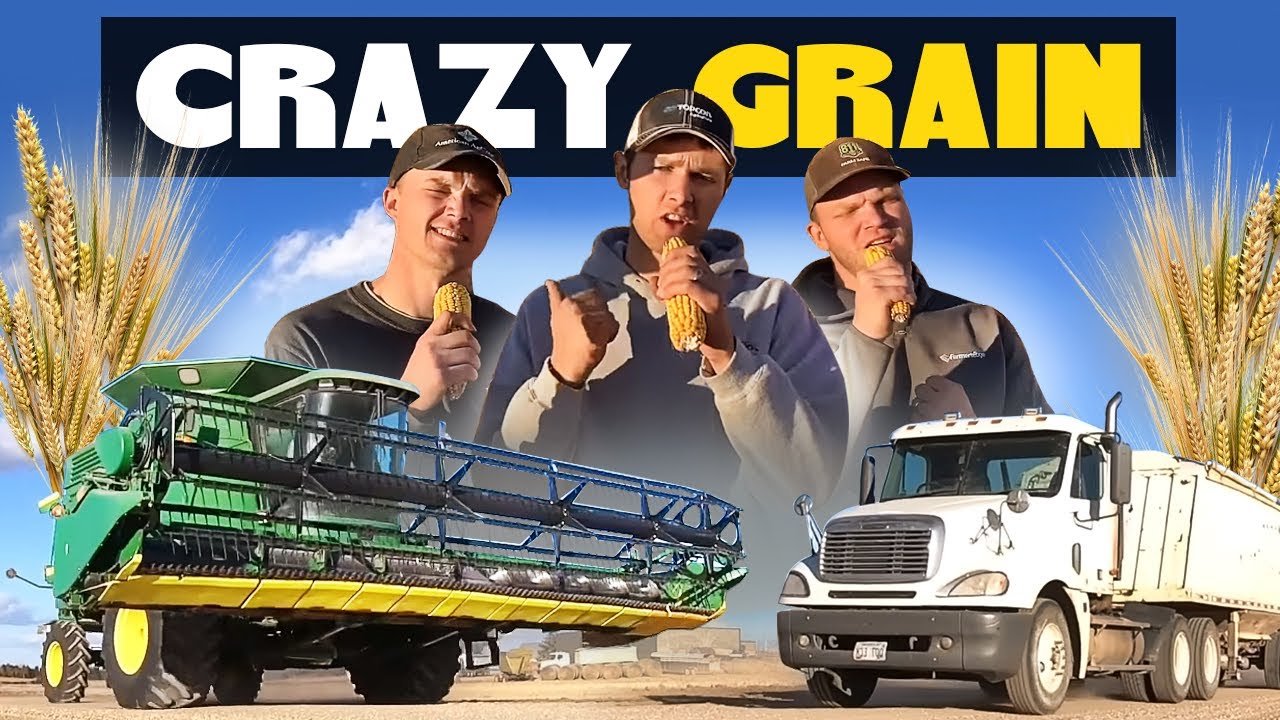 Crazy Grain (Crazy Train Parody)