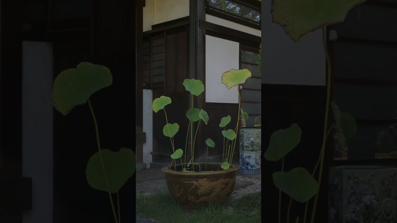 Tenno-ji Temple, Yanaka Cemetery 