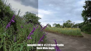 Insta 360 ONE R  1-Inch Wide Angle Mod Color Profile
