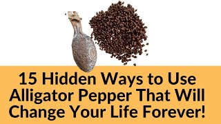15 Hidden Ways to Use Alligator Pepper That Will Change Your Life Forever!