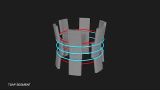TDAP Animation - BiSN