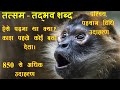 Tatsam Tadbhav in hindi | Tatsam Tadbhav Shabd in Hindi | tatsam tadbhav trick