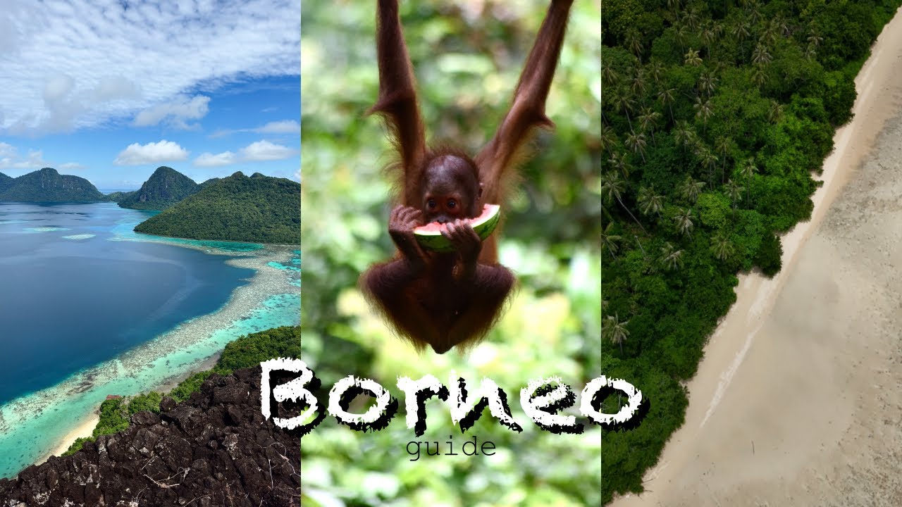 Путеводитель по Борнео | Островной рай в тропиках | Слишком красиво, чтобы быть правдой | beyondb...