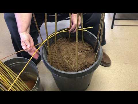 Weaving Garden Towers