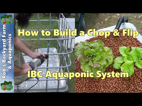 Building an ibc aquaponic system | Doovi