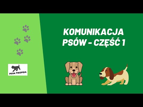 Wideo: Komunikacja Psów: Jak Zinterpretować Psa